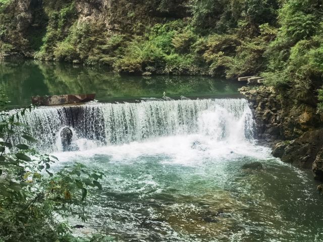 洒金公园旅行图片 2