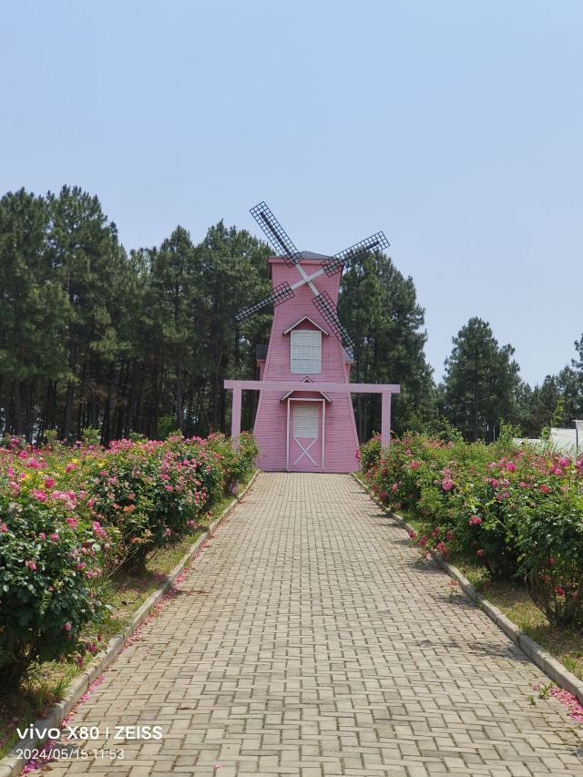南京玫瑰园旅行图片 5
