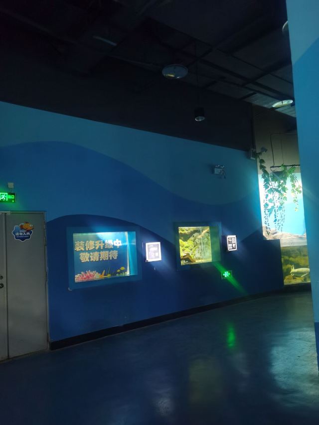 广汉海昌海洋探索馆旅行图片 2