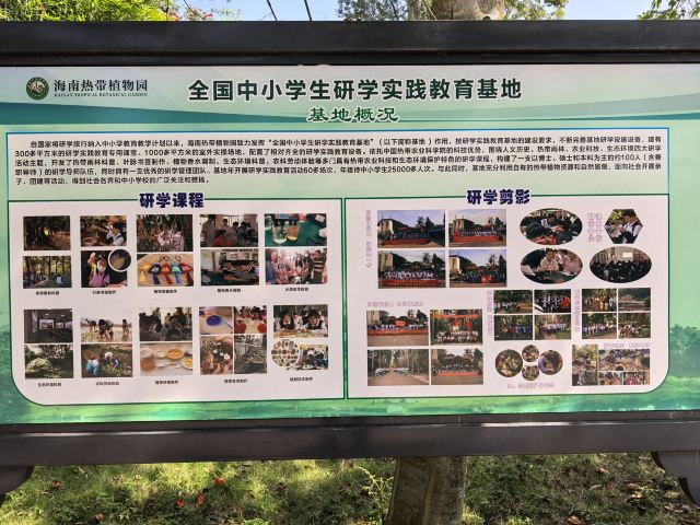 海南热带植物园旅行图片 2