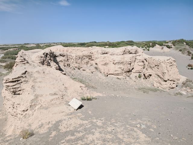 锁阳城遗址旅行图片 2