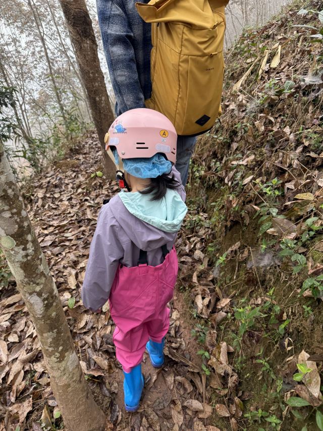 基诺山巴朵村雨林徒步旅行图片 1