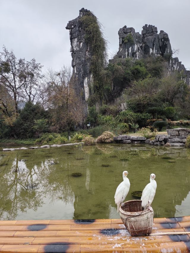 七星景区旅行图片 2