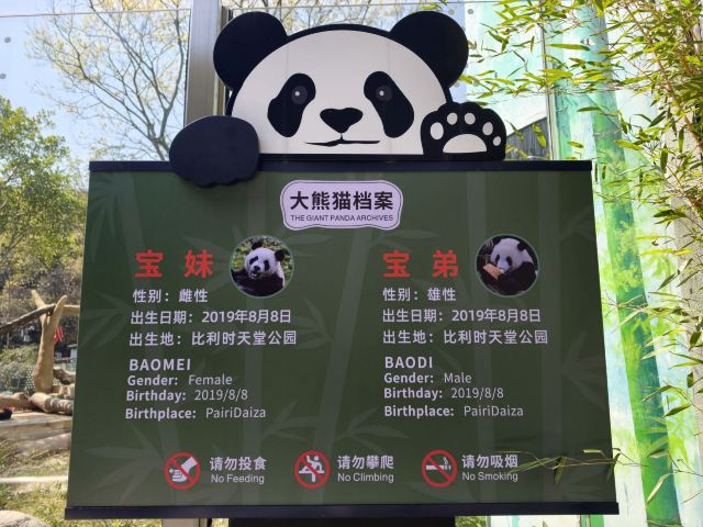 温州动物园旅行图片 1
