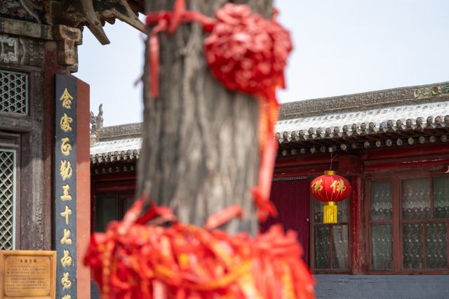 净土寺旅行图片 4