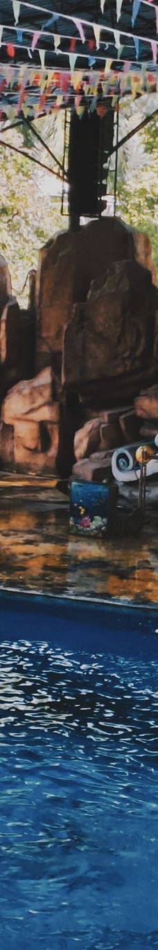 南宁动物园-南宁-nana801205