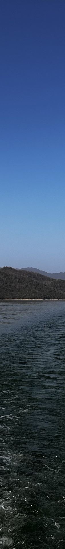 太平湖-黄山-M11****285