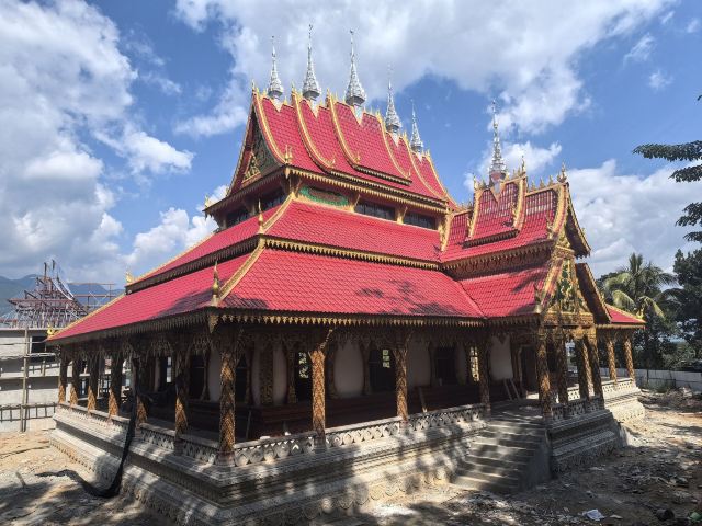 西双版纳独树成林景区旅行图片 4