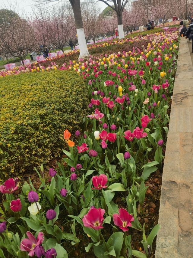 江西省凤凰沟风景区旅行图片 4
