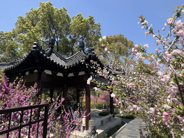 上海南汇桃花村旅行图片 7