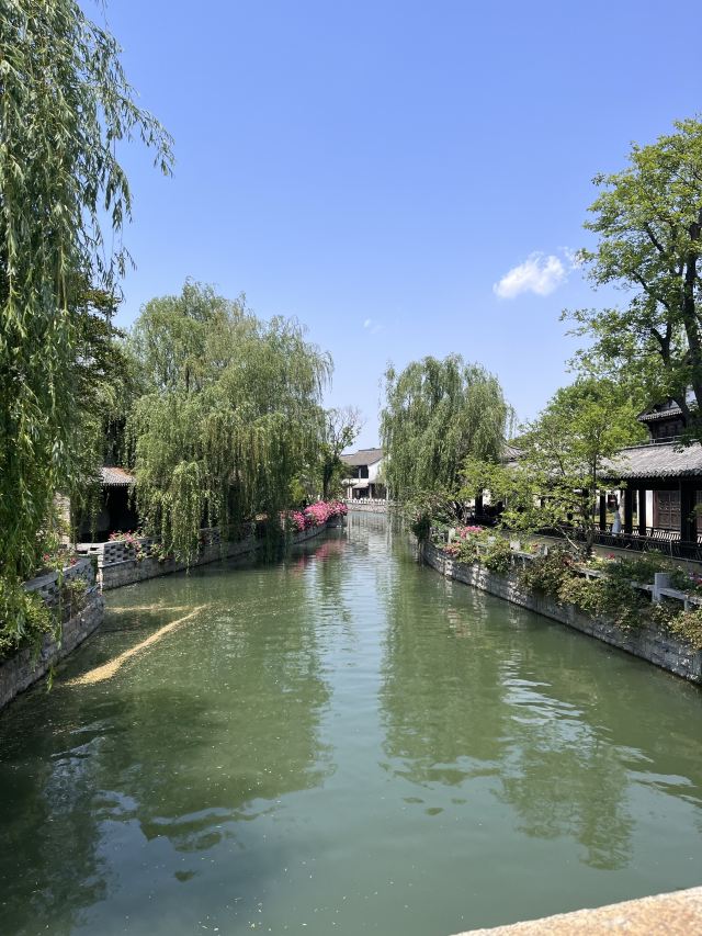 大纵湖旅游度假区旅行图片 2