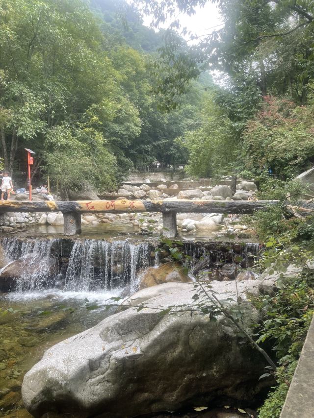 陕西省红河谷森林公园旅行图片 1