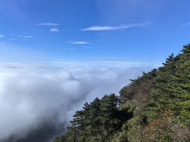 天岳幕阜山森林公园旅行图片 1