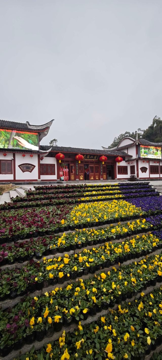 君山岛景区旅行图片 1