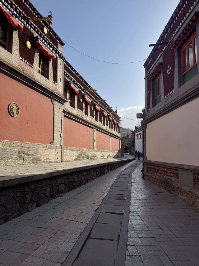 塔尔寺旅行图片 5