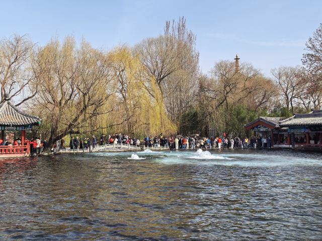 清照泉城·明水古城国际泉水旅游度假区旅行图片 3