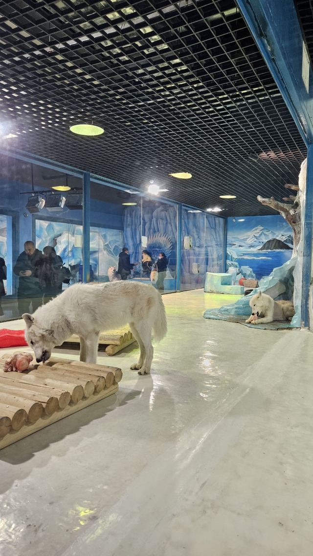 哈尔滨极地公园旅行图片 4