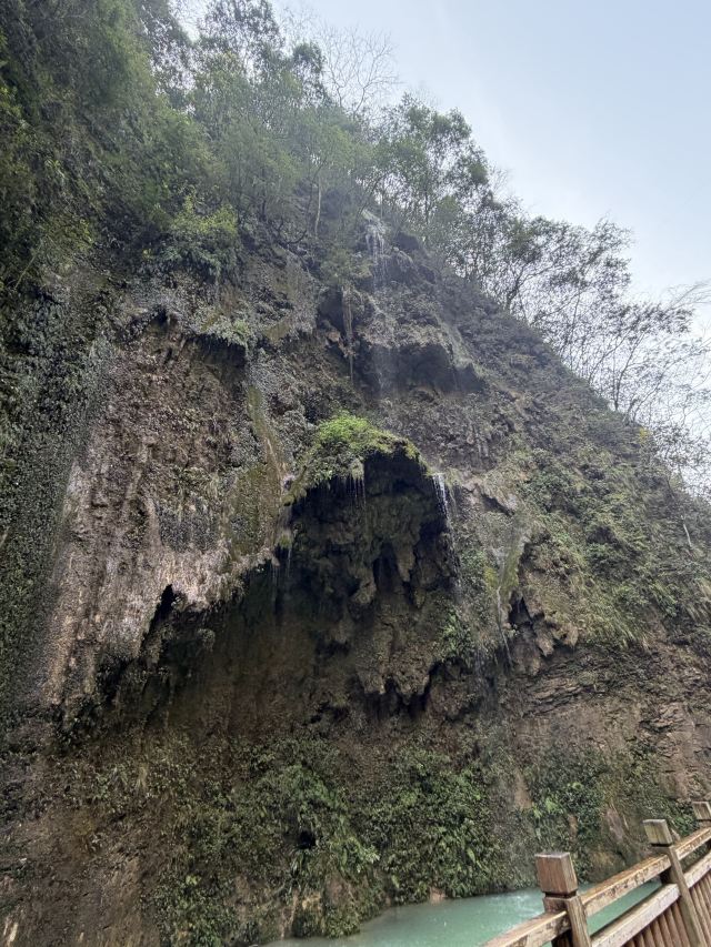 张家界大峡谷旅行图片 1
