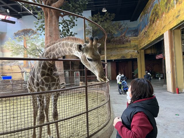 沈阳龙之梦动物科普乐园旅行图片 2