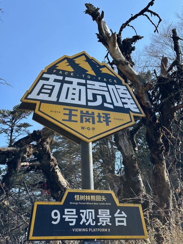 王岗坪旅游景区-露营区旅行图片 5