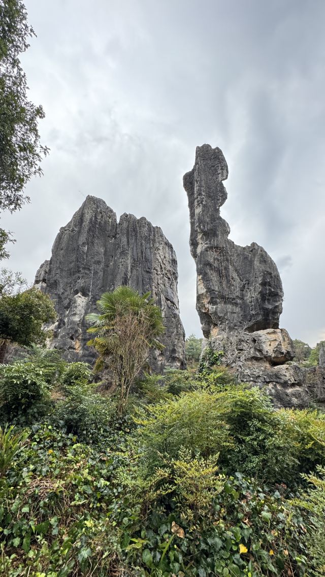 石林风景区旅行图片 3