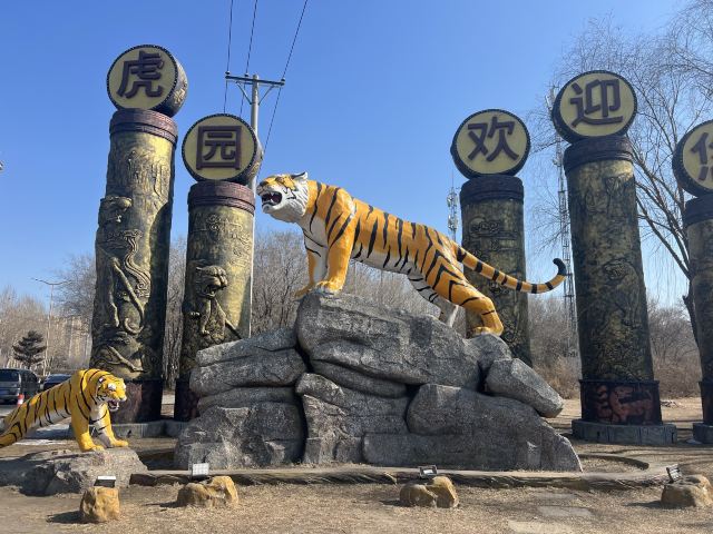 东北虎林园旅行图片 1