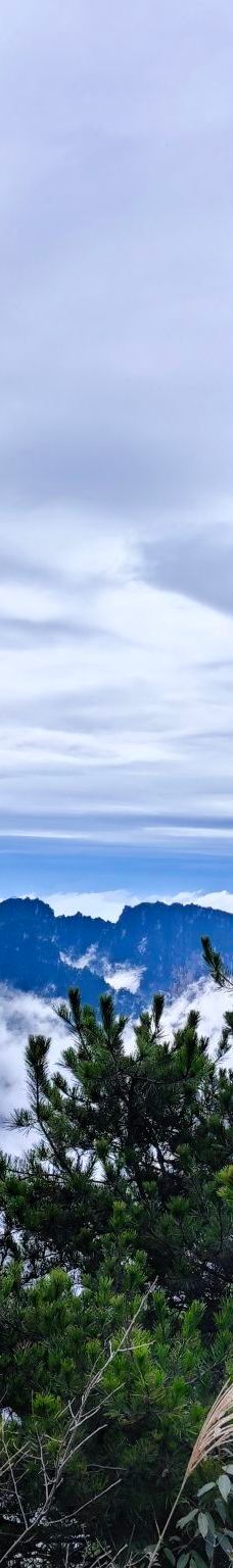 天子山索道-张家界-M34****1452