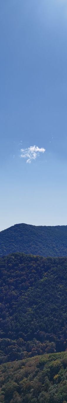 青山沟-宽甸-Milly