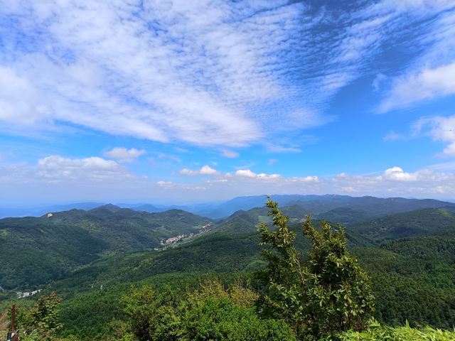 武陵山国家森林公园旅行图片 2