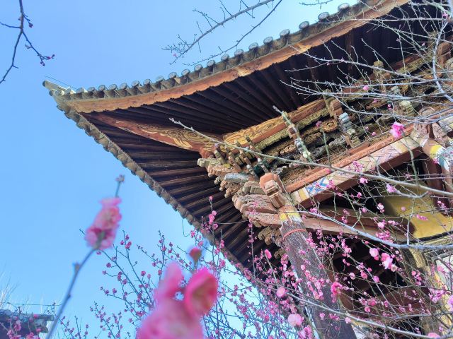 南诏镇古建筑群(文华书院)旅行图片 2