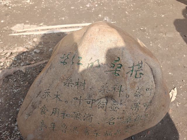 鲁迅故里旅行图片 2