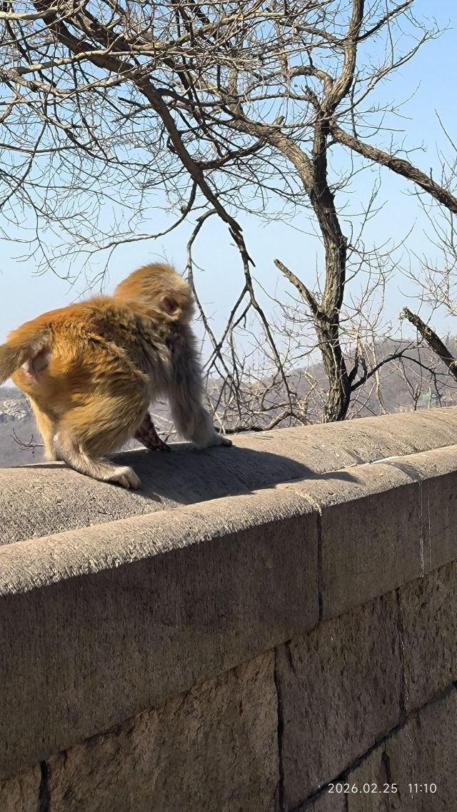 花果山风景区旅行图片 2