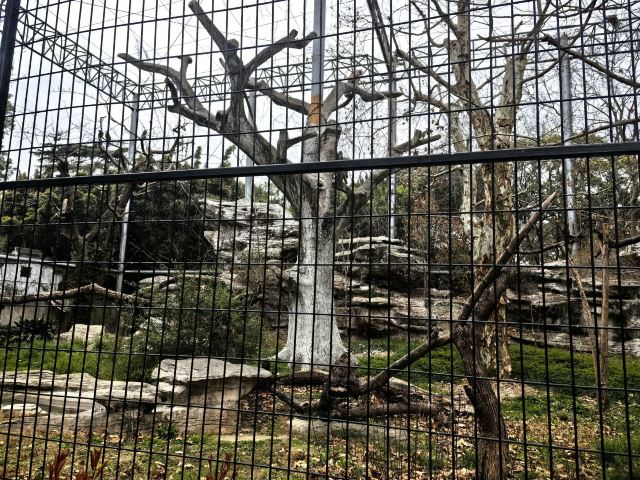 上海动物园旅行图片 2