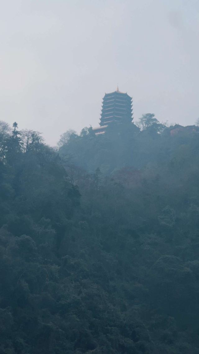 青城山景区旅行图片 4