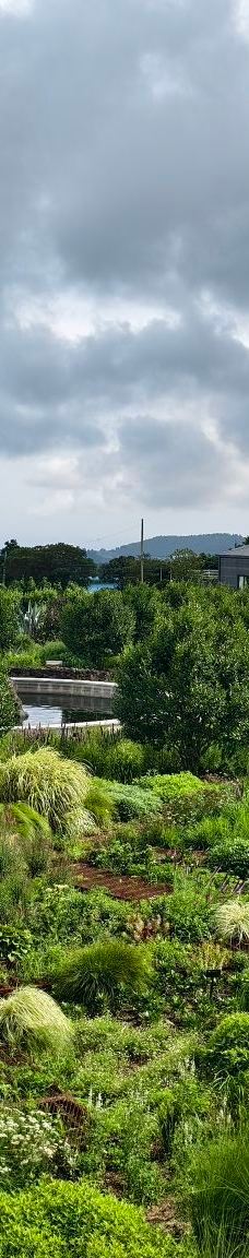 山茶花之丘-西归浦市-YoYo_6Z2T8B3G