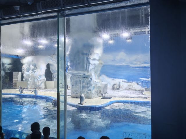 徐州欧乐堡海洋极地世界旅行图片 6