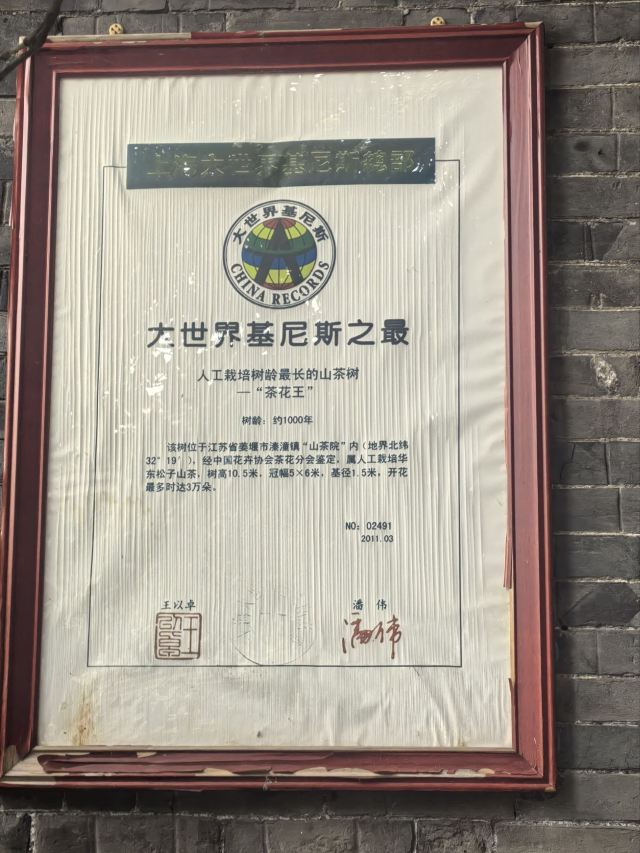 溱潼古镇旅游区旅行图片 8