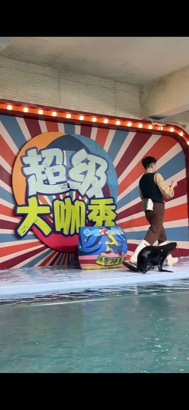 南昌海洋公园旅行图片 2