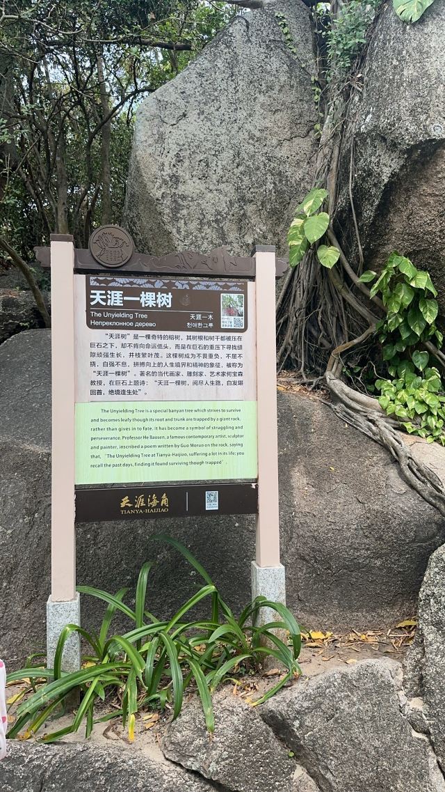 天涯海角游览区旅行图片 3