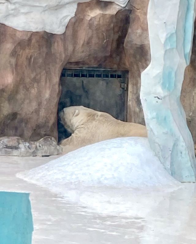 哈尔滨极地公园旅行图片 5