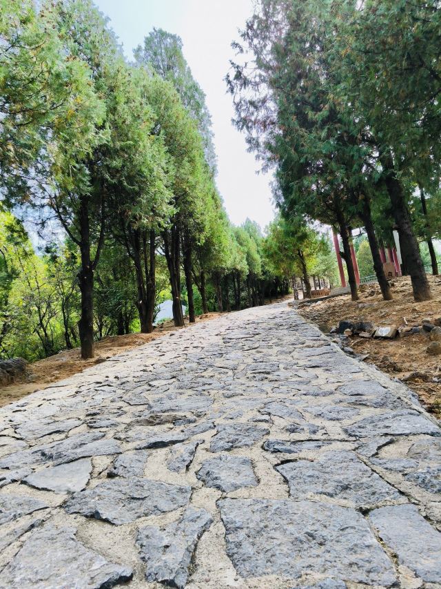 大寨森林公园旅行图片 7