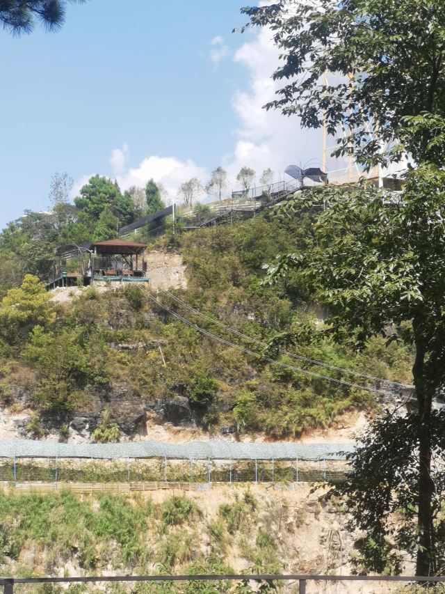 贵州·羊驼小镇旅游景区旅行图片 1