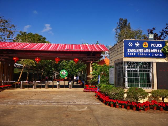 海南热带植物园旅行图片 1