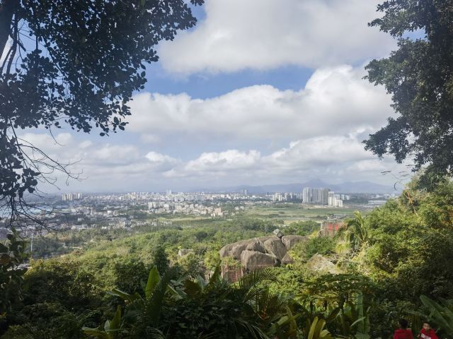 东山岭旅行图片 5
