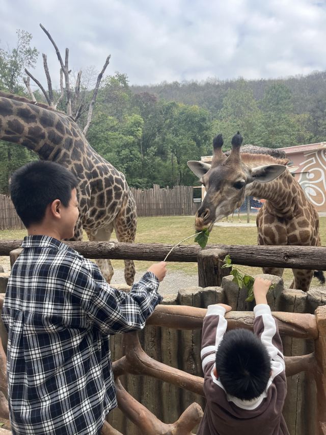 武汉野生动物王国旅行图片 1