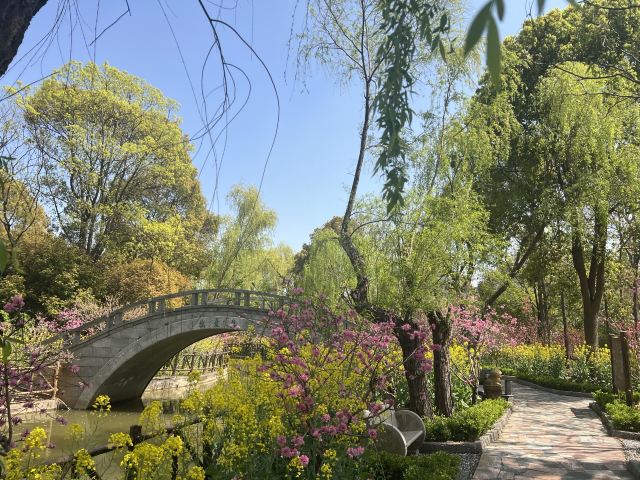 上海南汇桃花村旅行图片 9