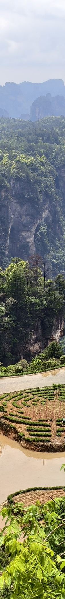 空中田园-张家界-Bingley