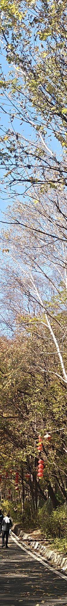 铧子山森林公园-通河-YoYo_0Z9T7U6N