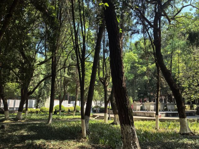 炎帝陵旅行图片 2