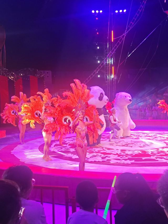 青岛明月·山海间旅行图片 2